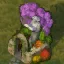Knowledge Garden