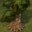 Tree of Knowledge